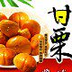 唐山板栗直销店的LOGO