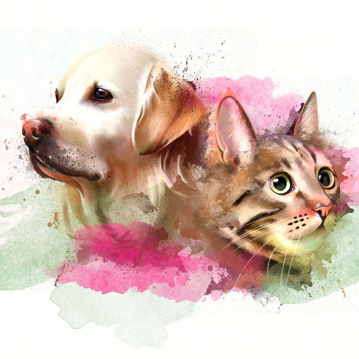 猫狗森林宠物店