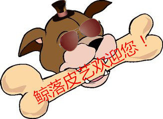 鲸落皮艺