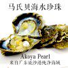 湛江沿海特有产品