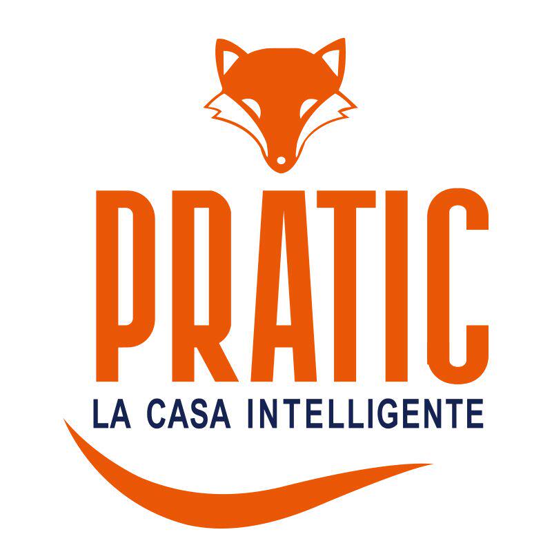 狐狸爸爸日化旗舰店的LOGO