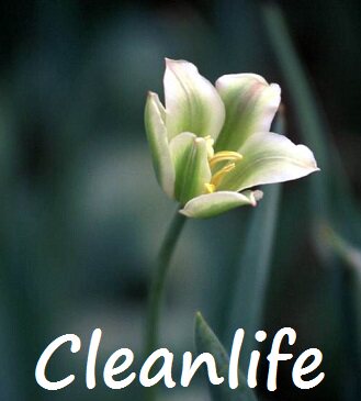 CleanLife