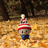 陈小喵你要去哪儿