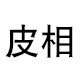 皮相真皮馆