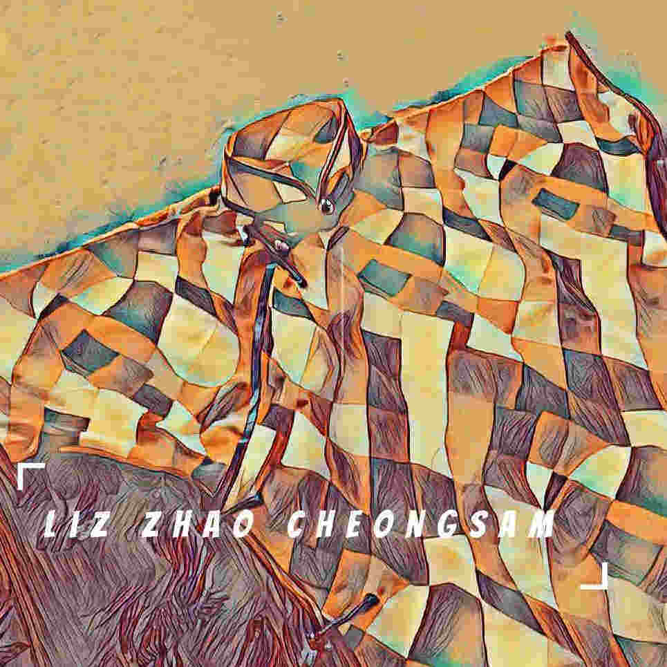 Liz Cheongsam 传统旗袍的LOGO