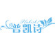 plukish普凯诗旗舰店的LOGO