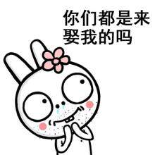 张朵朵1号店
