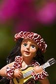真茹的ukulele祗陀林
