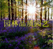 一亩三分地仿真