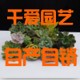千爱花盆厂家批发的LOGO