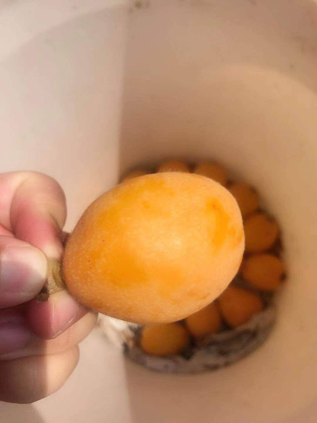 圆圆水果农家店