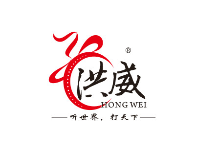 洪威乐器旗舰店