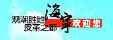 鼎点磁性纱窗纱门直销店的LOGO