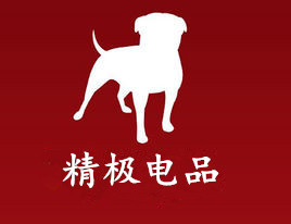 精极电品