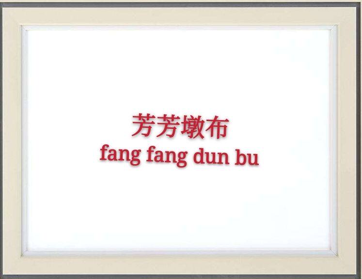 芳芳墩布的LOGO