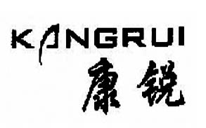常州康锐照明电器有限公司