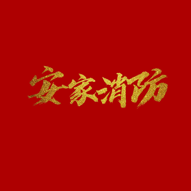 安家消防119的LOGO