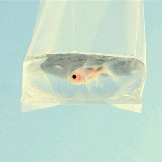 仲恺优品海淘小铺