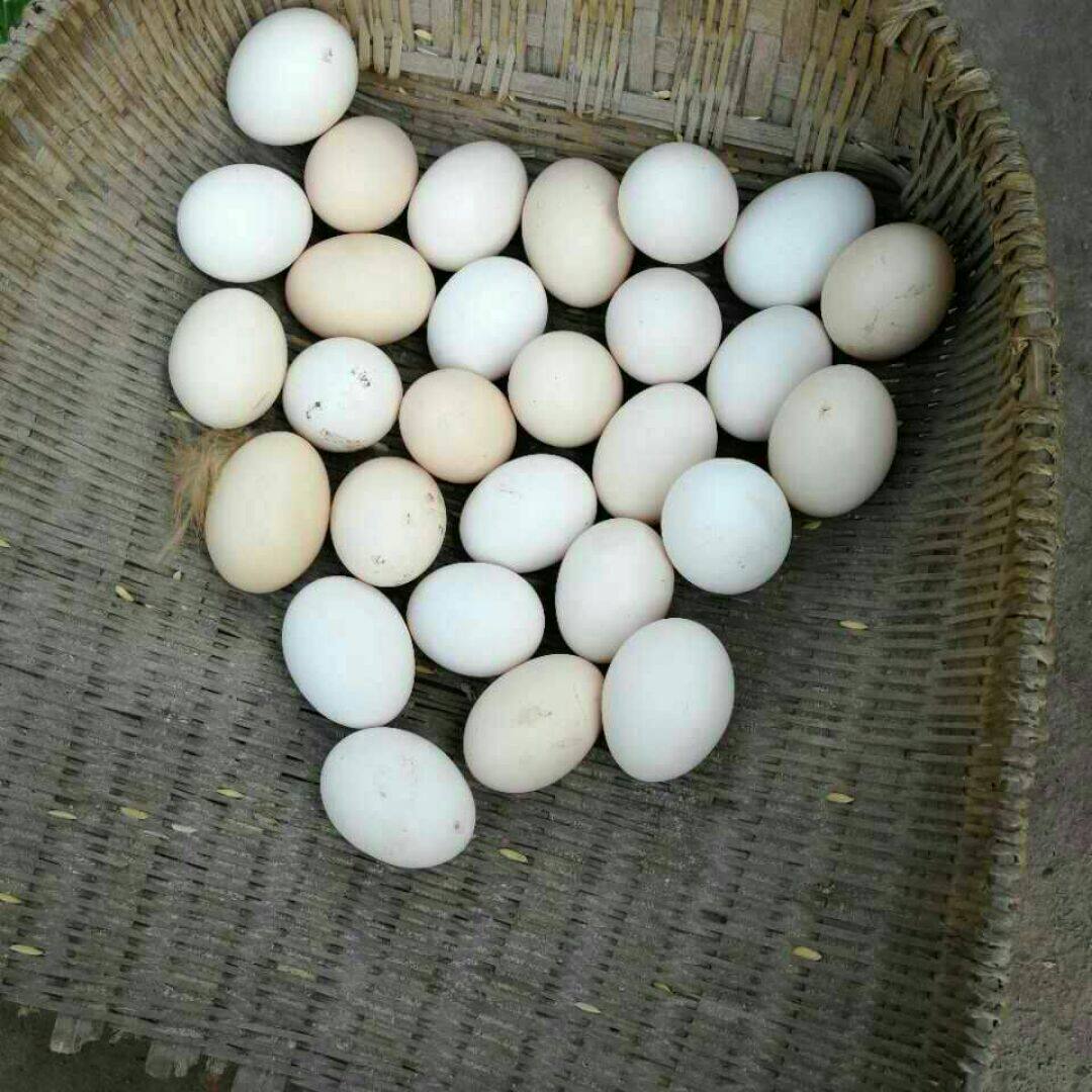刘二娃家庭农场