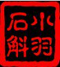 小羽石斛