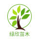 绿欣八棱海棠苗木基地的LOGO