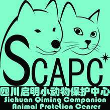 四川省启明小动物保护中心的LOGO