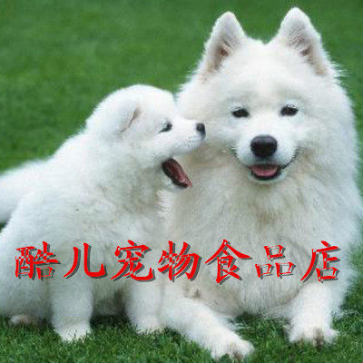 酷乐宠物食品店的LOGO