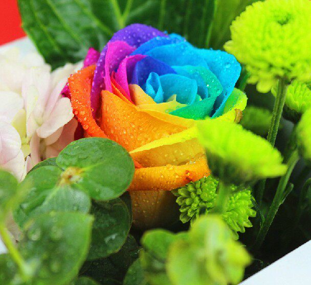 陌上花开20081314