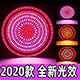 领航照明自营工厂店的LOGO