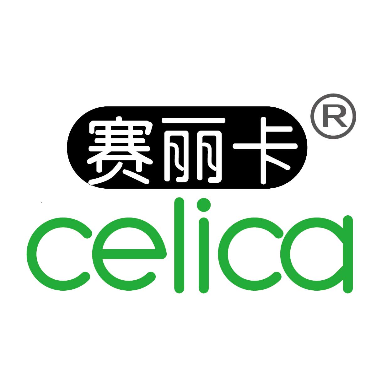 celica赛丽卡汽车用品旗舰