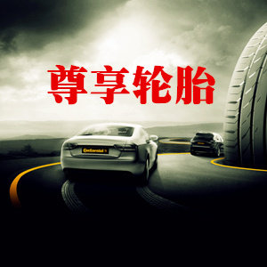 轮都
