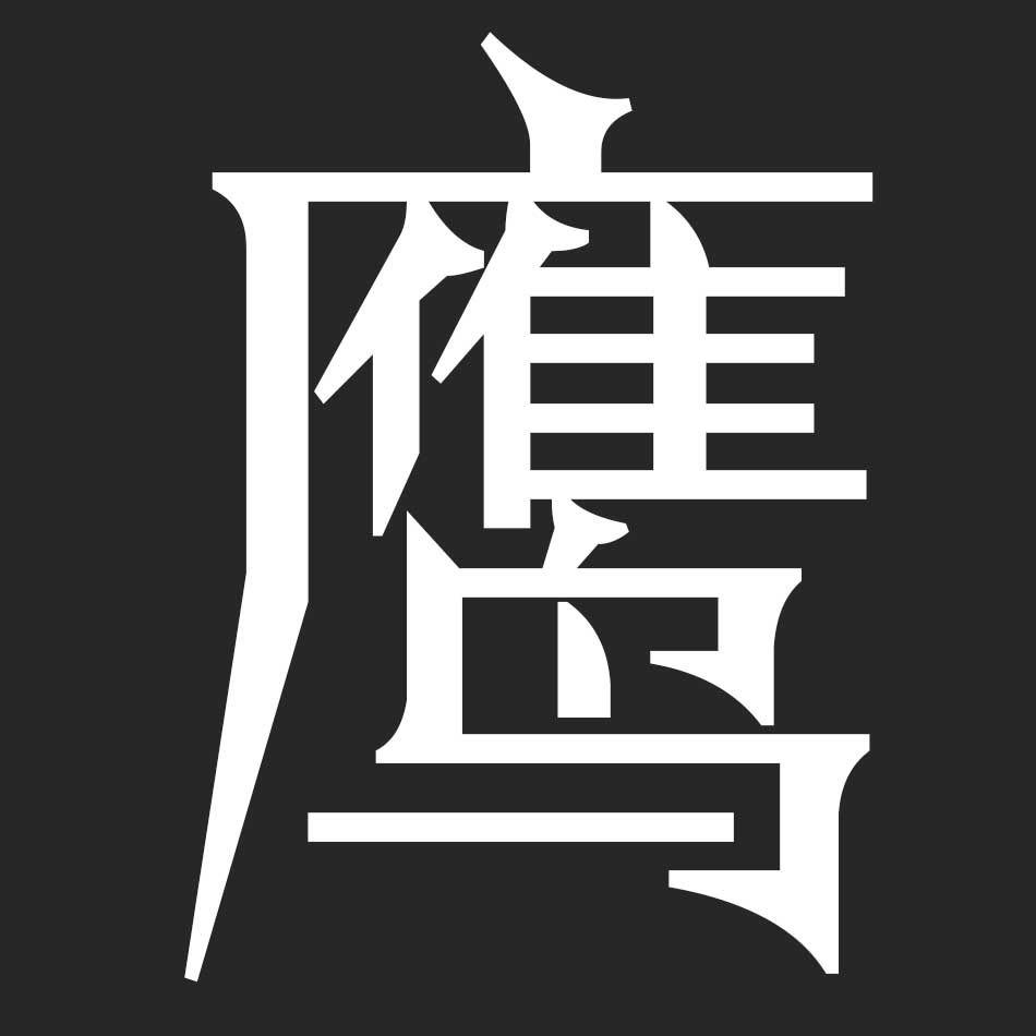 阿鹰鹰先生外贸大码运动户外休闲男装