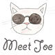 MEET JOE