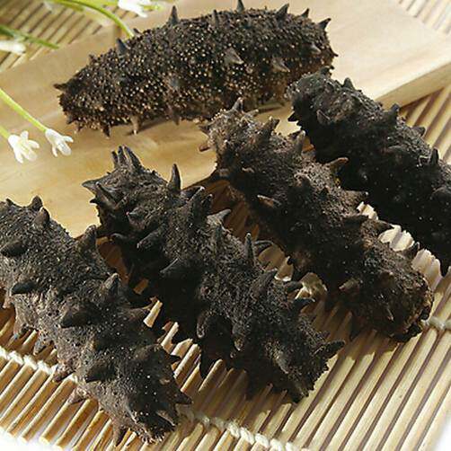 龙王府海参