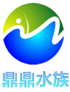 鼎鼎水族馆的LOGO
