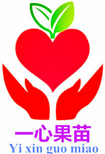 一心果苗培育基地
