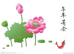 梦幻大码时尚女装