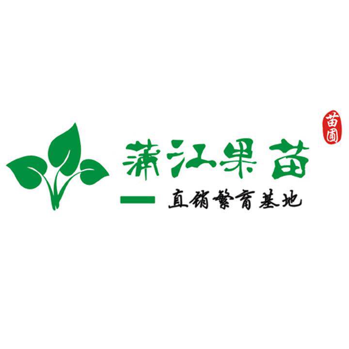 四川蒲江县绿园苗圃直销繁育基地
