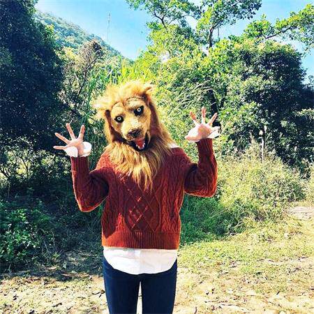WILDBEAST 野兽派