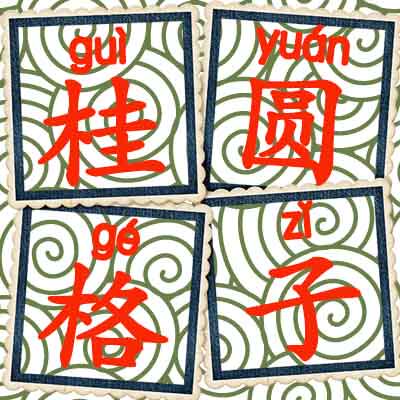 格子的桂圆味杂货铺