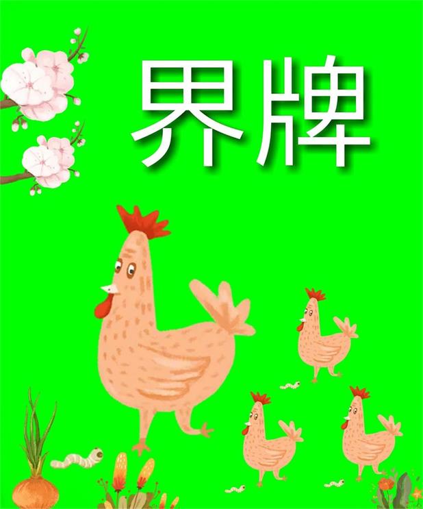 界牌散养红玉鸡