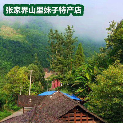 张家界山里妹子特产店