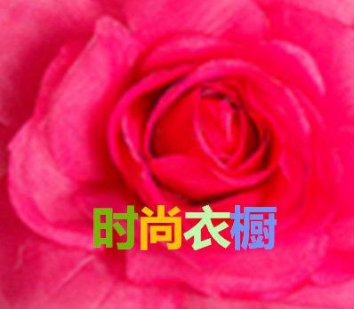 时尚衣橱私衣坊的LOGO