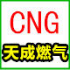 天成燃气CNG的LOGO