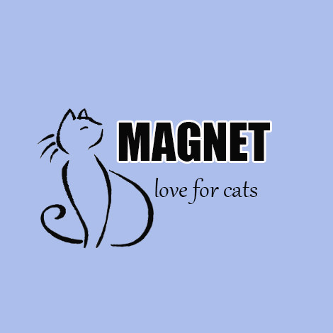 MAGNET宠物俱乐部