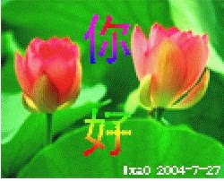 曼曼医疗2007