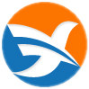 苏兴仪器仪表的LOGO
