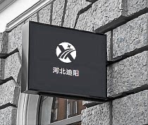 河北迪阳的LOGO