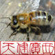 天健广西特产