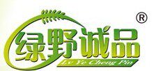 绿野诚品仿真植物厂